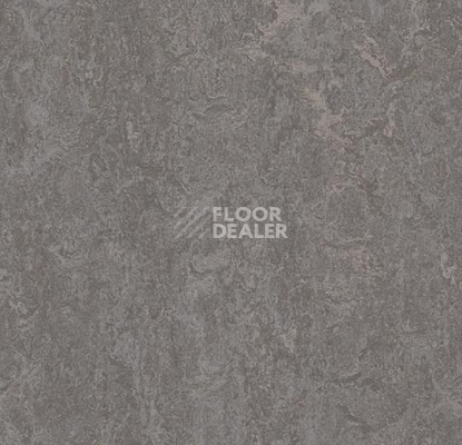 Линолеум Forbo Marmoleum Marbled Real 3137 Slate Grey фото 1 | FLOORDEALER